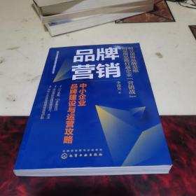 现代企业精细化管理与经营实战丛书--品牌营销：中小企业品牌建设与运营攻略