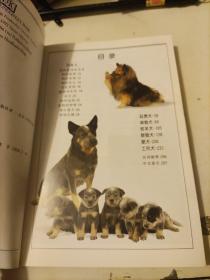 名犬：全世界300多种名犬的彩色图鉴