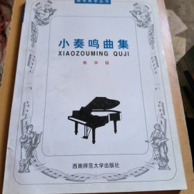 21世纪钢琴教学丛书：小奏鸣曲集（教学版）