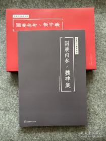 国展培训参考-魏碑集  8开256页