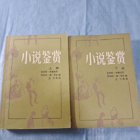 小说鉴赏：上下册（内页干净未翻阅，表面自然旧）