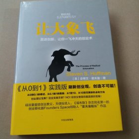 让大象飞:激进创新，让你一飞冲天的创业术