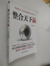 整合天下赢