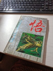 禅与悟 每日一悟