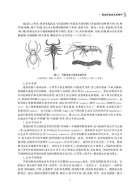 园艺昆虫学(第3版) 9787565529627
