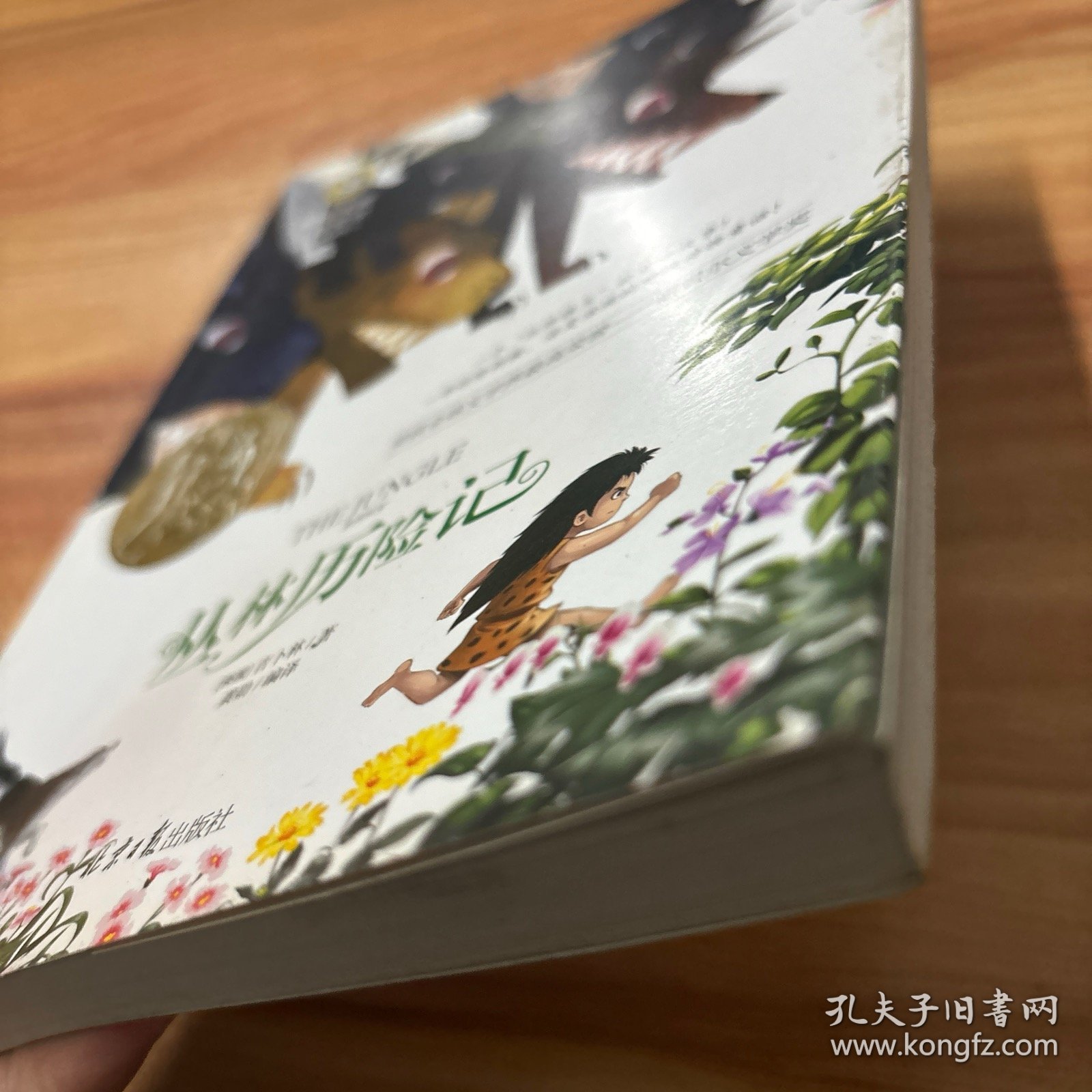 丛林历险记 国际大奖儿童文学 (美绘典藏版)