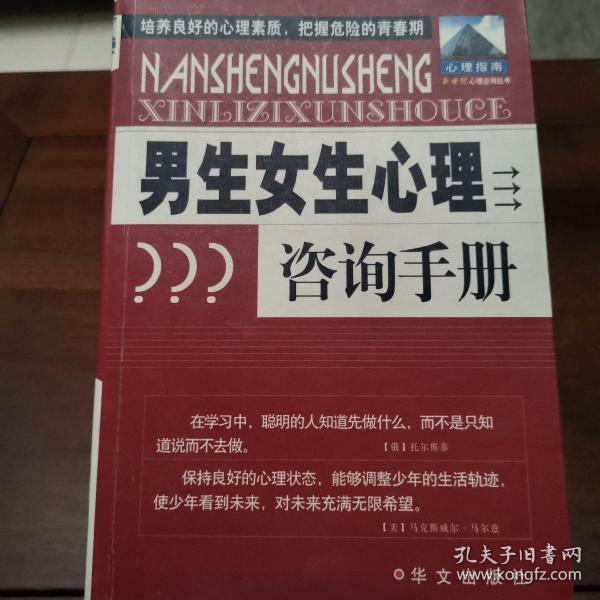 男生女生心理咨询手册——新世纪心理咨询丛书