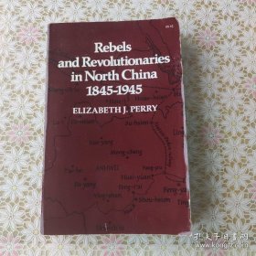 Rebels and Revolutionries in North China 1845-1945