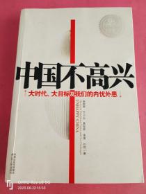 中国不高兴：大时代大目标及我们的内忧外患