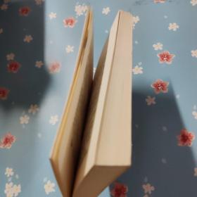 童言--80后最具思想深度的超现实荒诞小说