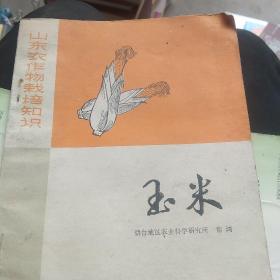 80年代山东农作物，玉米