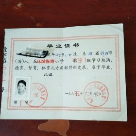 小学毕业证书