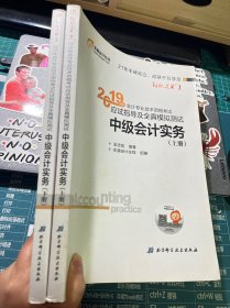 (2019)中级会计实务应试指导及全真模拟测试中级会计轻松过关1（上下册全）