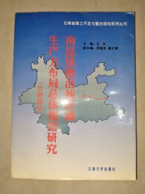 南昆铁路沿线区域生产力布局总体规划研究.云南部分