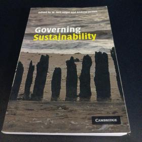 Governing Sustainability