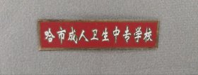哈市成人卫生中专学校铜质校徽（教师版）