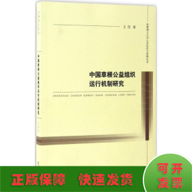 中国草根公益组织运行机制研究