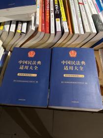 中国民法典适用大全（涉外商事海事卷）（平装）（一、二卷）2本合售