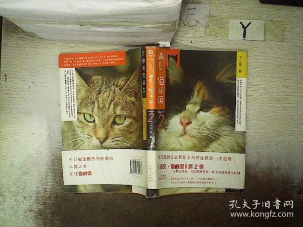 遇见·猫的国 第2季