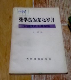 张学良的东北岁月