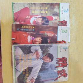 精武杂志1988年1-6期全（双月刊）