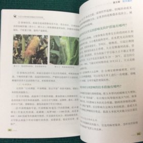 大豆玉米带状复合种植技术百问百答