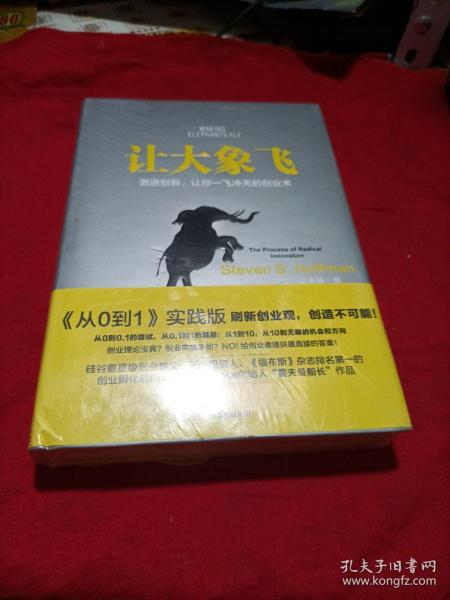 让大象飞:激进创新，让你一飞冲天的创业术