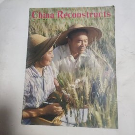 6画刊-Chian ReonStructs