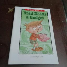 Brad Needs a Budget ：LEVELED BOOK·M