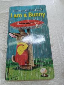 I Am a Bunny