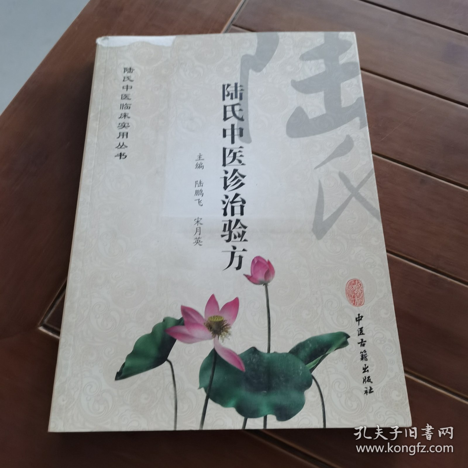 陆氏中医临床实用丛书：陆氏中医诊治验方