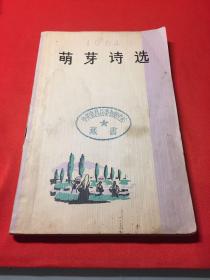 萌芽诗选 1964年