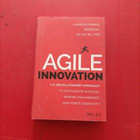 Agile Innovation  The Revolutionary Approach 敏捷创新 革命性的方法