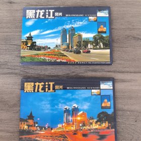 （保老保真）2002年《黑龙江风光》邮资明信片FP17（10-10）2002A，60分低面值10张全+《黑龙江风光》国际邮资明信片，FP17（10-10）2002B.航空4.20元高面值，10张全。2套合售，私藏（实物拍图，外品内页如图，全新未使用）