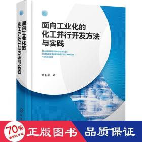 面向工业化的化工并行开发方法与实践