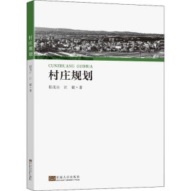 全新正版村庄规划9787564198633