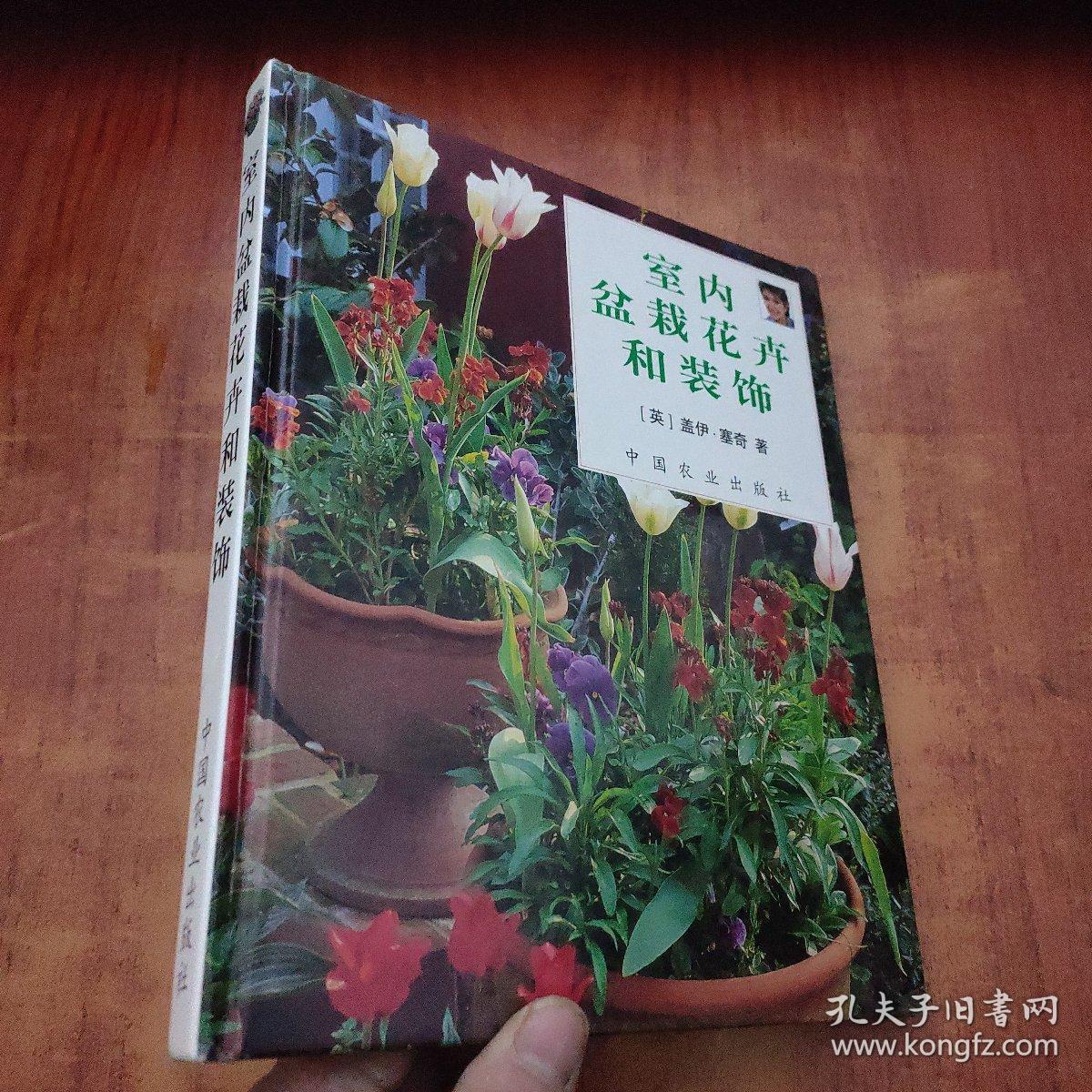 室内盆栽花卉和装饰