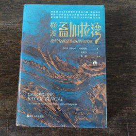 好望角丛书·横渡孟加拉湾：自然的暴怒和移民的财富