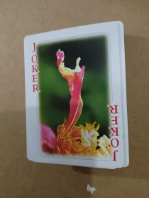 特色收藏扑克，牡丹（，花开富贵，国色天香，图案特别漂亮），店铺还有其他品种，多要优惠