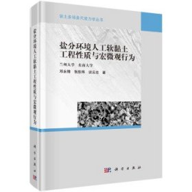 盐分环境人工软黏土工程性质与宏微观行为邓永锋, 张彤炜, 谈云志著普通图书/工程技术