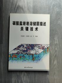 碳酸盐岩岩溶储层描述关键技术