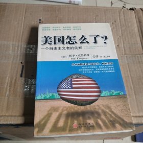 美国怎么了？：一个自由主义者的良知