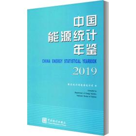 中国能源统计年鉴 2019 统计 作者 新华正版