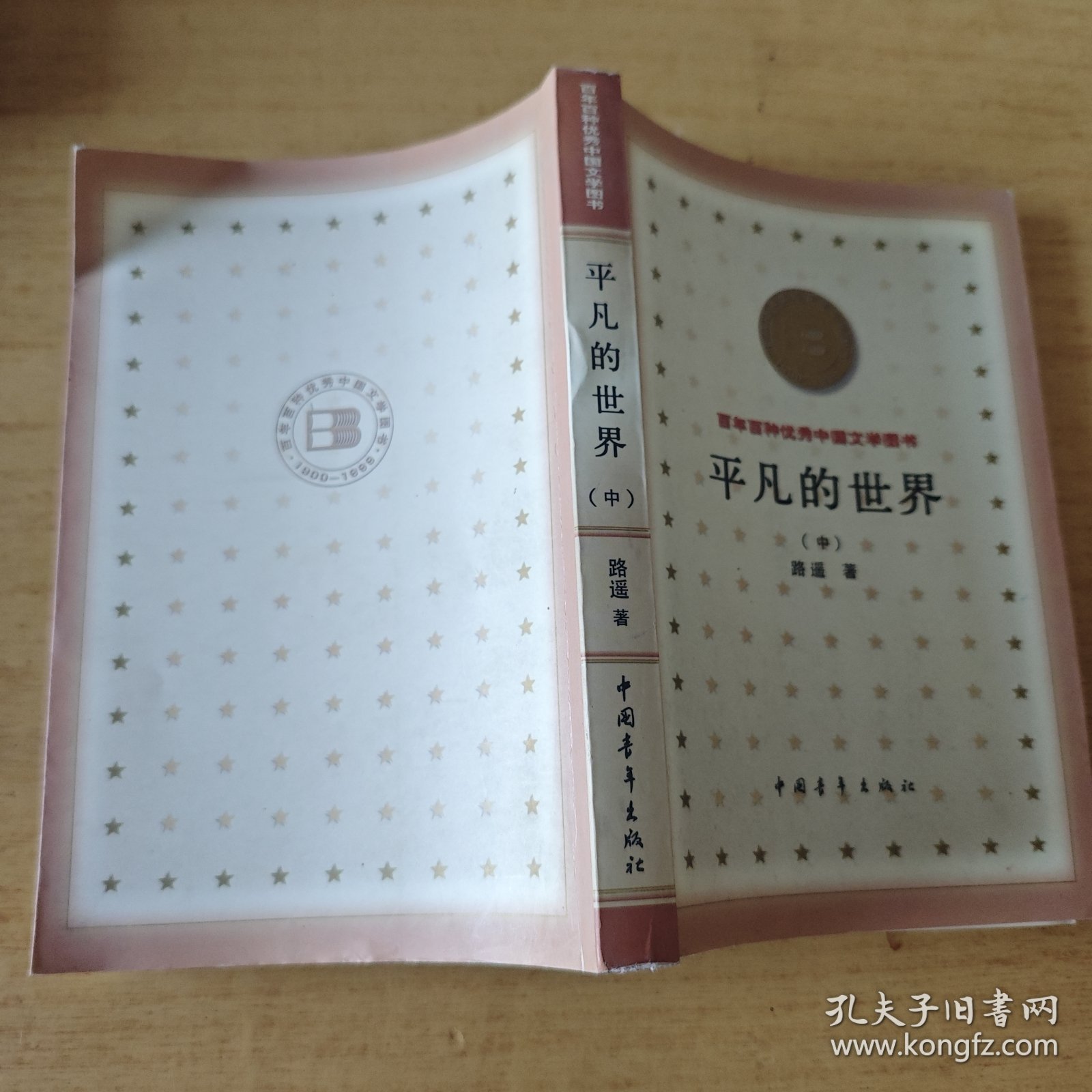 平凡的世界（中）