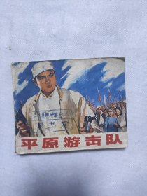 平原游击队