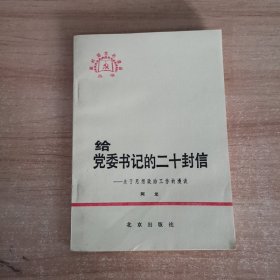 给党委书记的二十封信