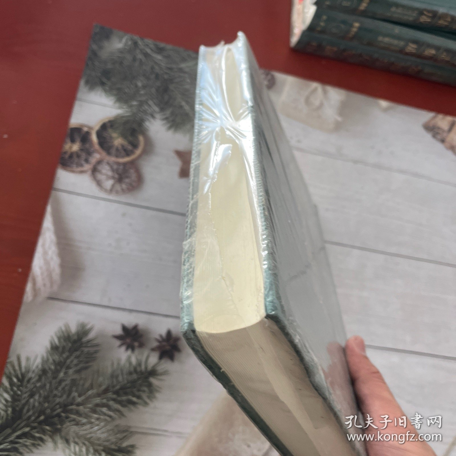 中国地方志集成-重庆府县志辑1