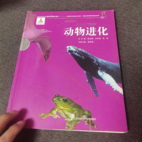 动物进化