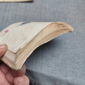 电影连环画册：花枝俏