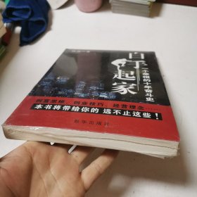 白手起家:一个草根的十年奋斗史